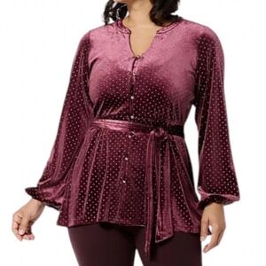 Colleen Lopez Womens Belted Velvet Tunic Cabernet Dewdrop Long Sleeve V-Neck 3X
